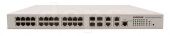 Raisecom ISCOM2128EA-MA-PWR